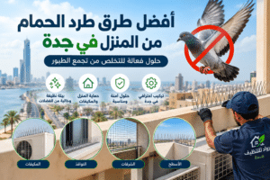 طرق طرد الحمام من المنزل