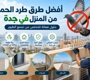 طرق طرد الحمام من المنزل